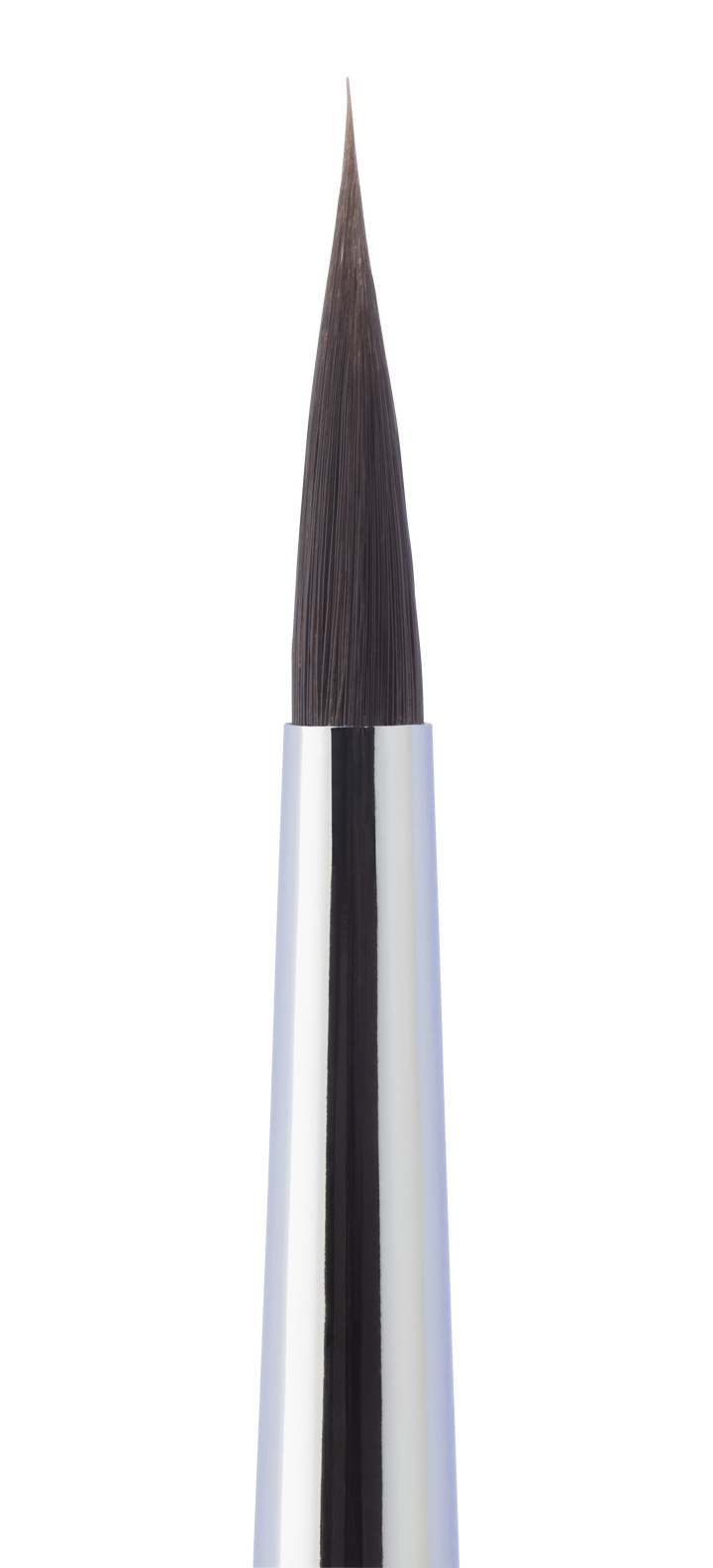 Supplies Brushes Renfert Kolinsky Evo Garland Dental Services