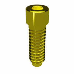 Prosthetic Screws