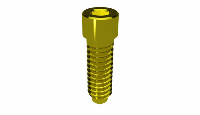 Prosthetic Screws