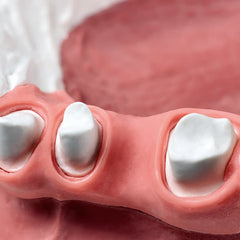 Gingival Reproduction Material