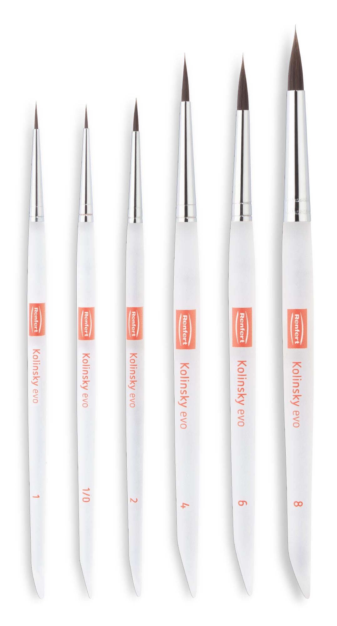 Renfert Kolinsky EVO brush set (size 1, 2, 4, 6, 8, 1/0)