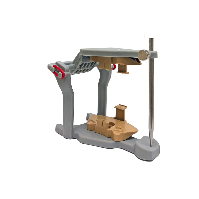 BesQual M-Articulator with Partial SBase Adapter - Left or Right