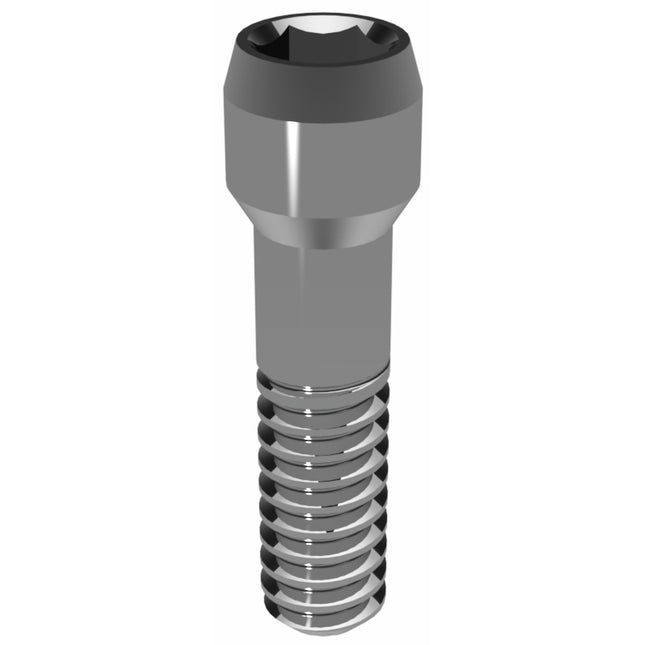 Prosthetic Screw for Astra Tech EV 3.6 S