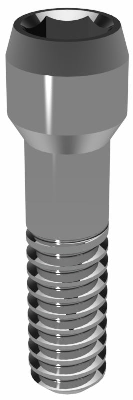 Prosthetic Screw for Astra Tech EV 3.6 S