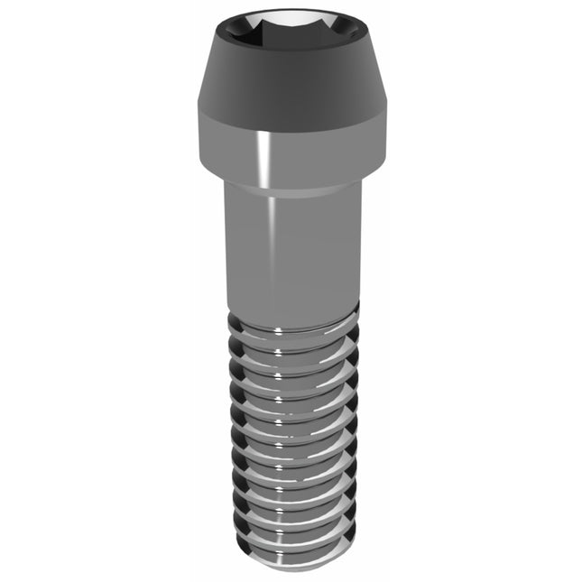 Prosthetic Screw for Astra Tech EV 4.2 M