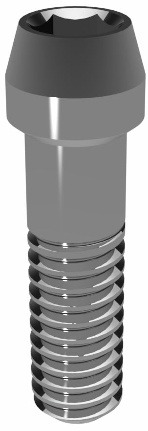 Prosthetic Screw for Astra Tech EV 4.2 M