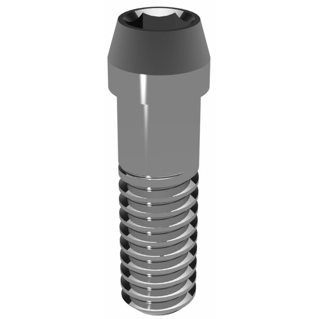 Prosthetic Screw for Astra Tech EV 4.8 L & 5.4 XL
