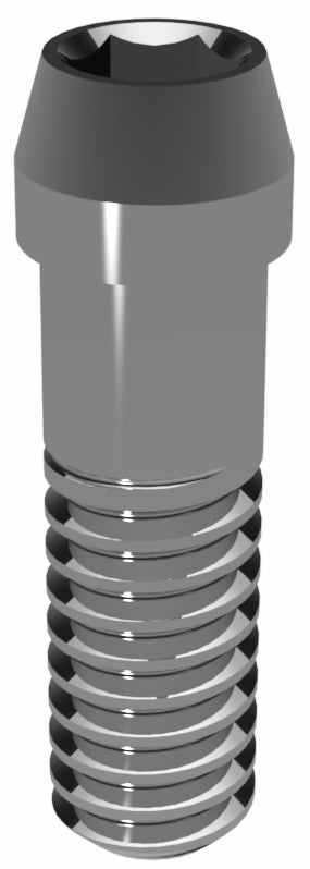 Prosthetic Screw for Astra Tech EV 4.8 L & 5.4 XL