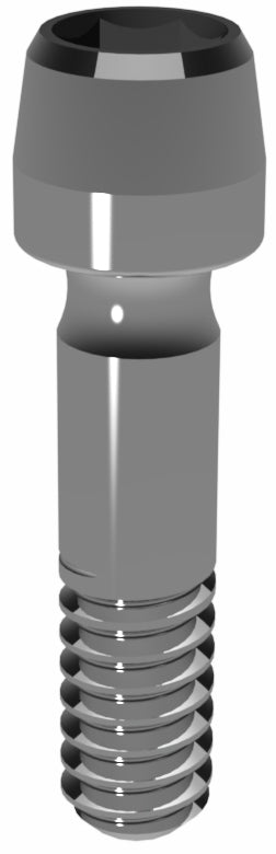 Prosthetic Screw for Astra Tech TX 3.5/4.0