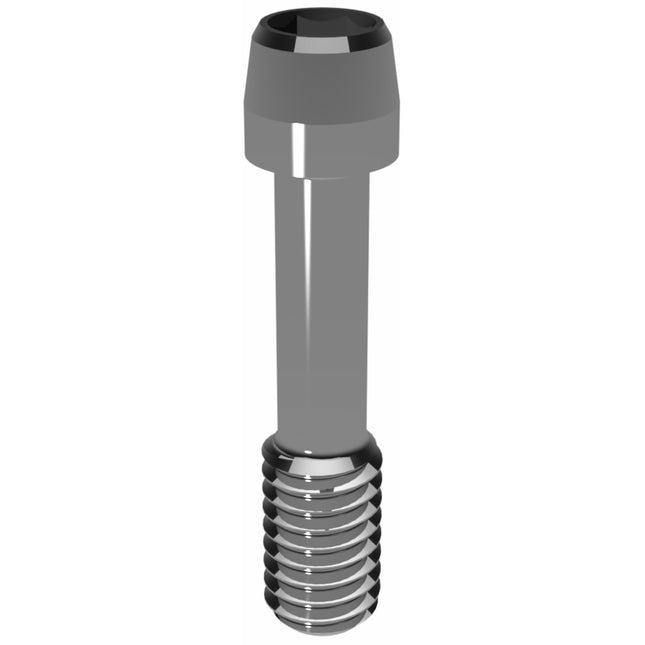 Prosthetic Screw for Astra Tech TX 4.5/5.0