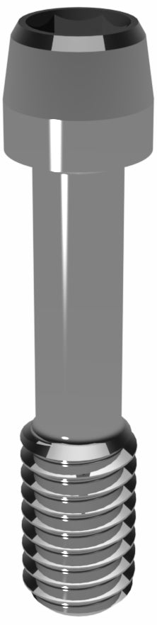 Prosthetic Screw for Astra Tech TX 4.5/5.0