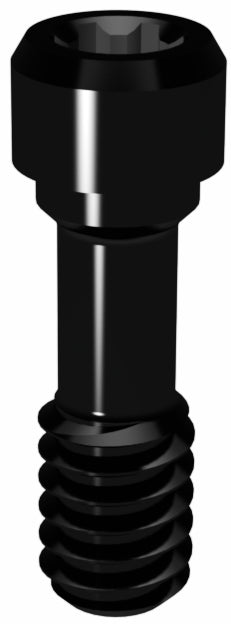 Prosthetic Screw for Brånemark RP