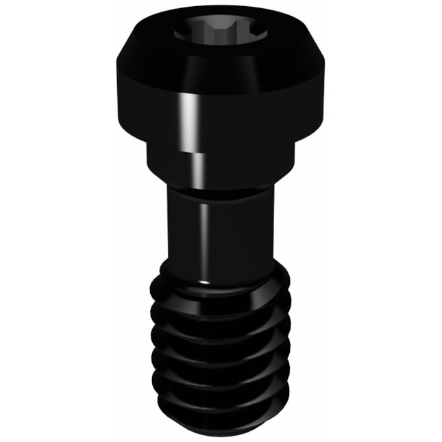 Prosthetic Screw for Brånemark WP
