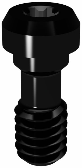 Prosthetic Screw for Brånemark WP