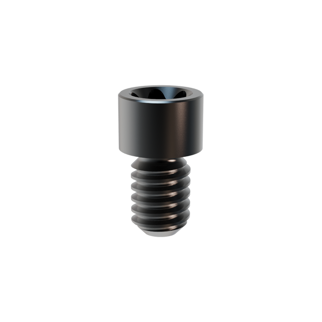 Prosthetic Screw for Multi-Unit Abutment WP