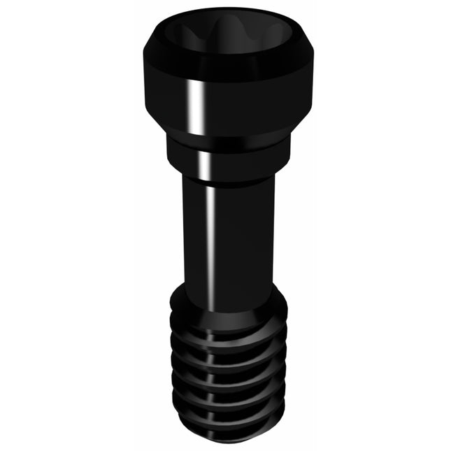 Hexalobular Prosthetic Screw for Conical Connection RP & WP
