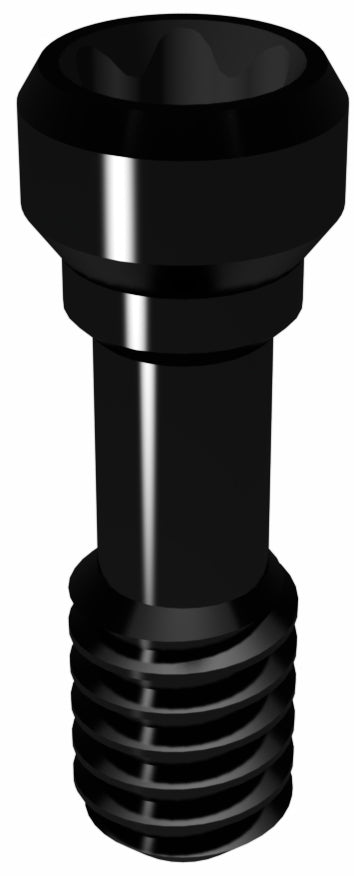 Hexalobular Prosthetic Screw for Conical Connection RP & WP