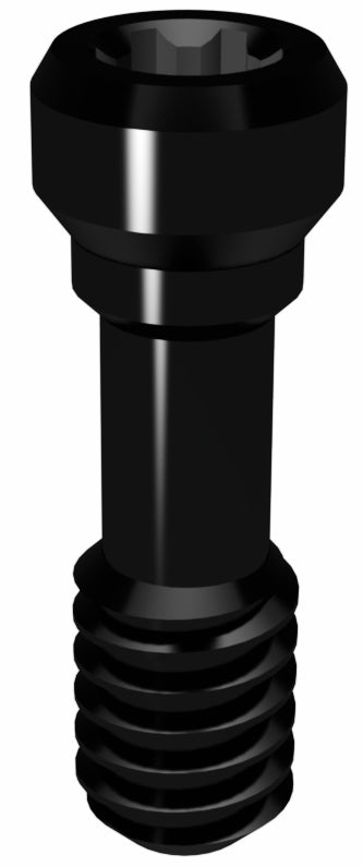 Prosthetic Screw for Conical Connection RP and WP