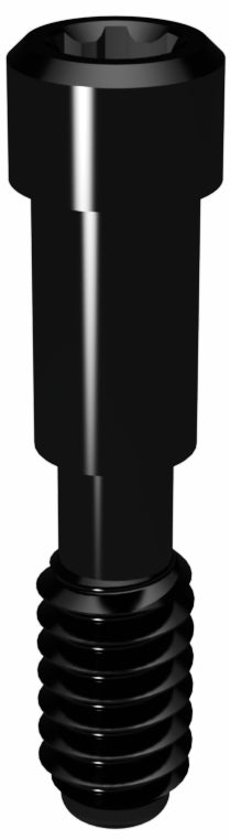 Prosthetic Screw for Replace® RP / WP / 6.0