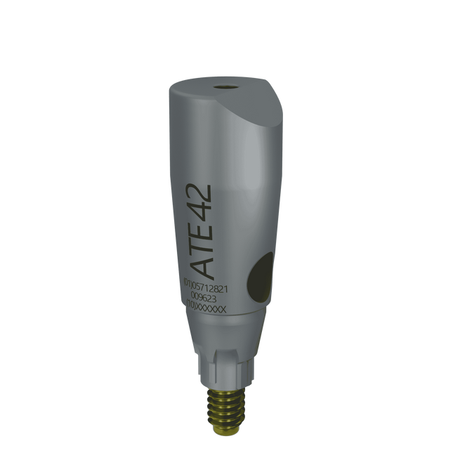 ScanBody22 for Astra Tech EV 4.2 M