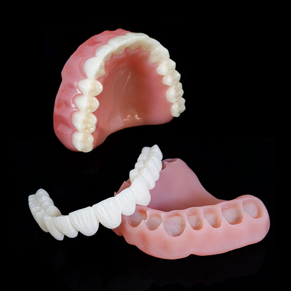 Rodin Denture Base 2.0