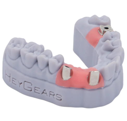 HeyGears UltraPrint Dental Gingiva UV 2.0