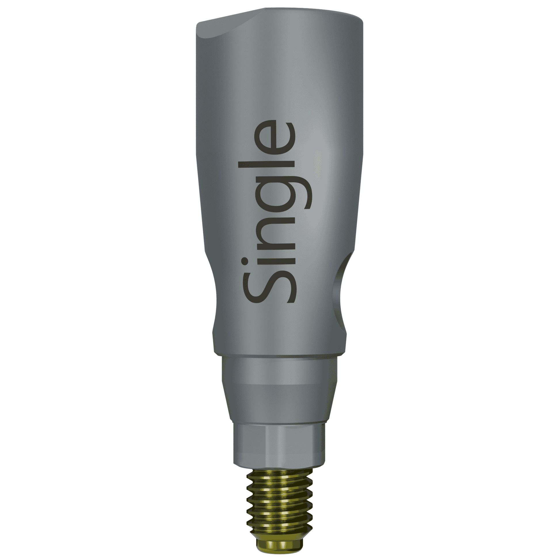 ScanBody22 for Conical Connection RP- Single Units