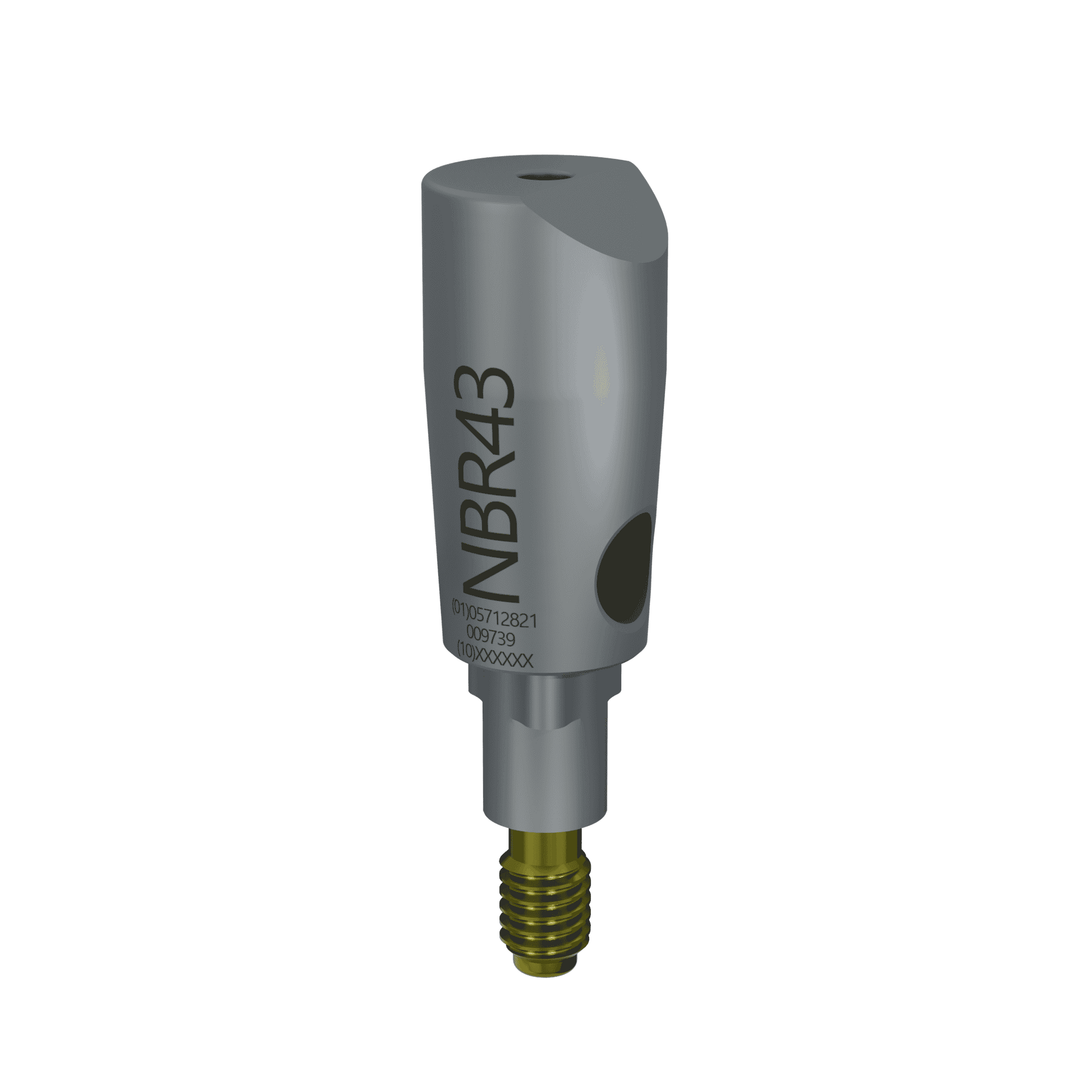 ScanBody22 for Replace® RP