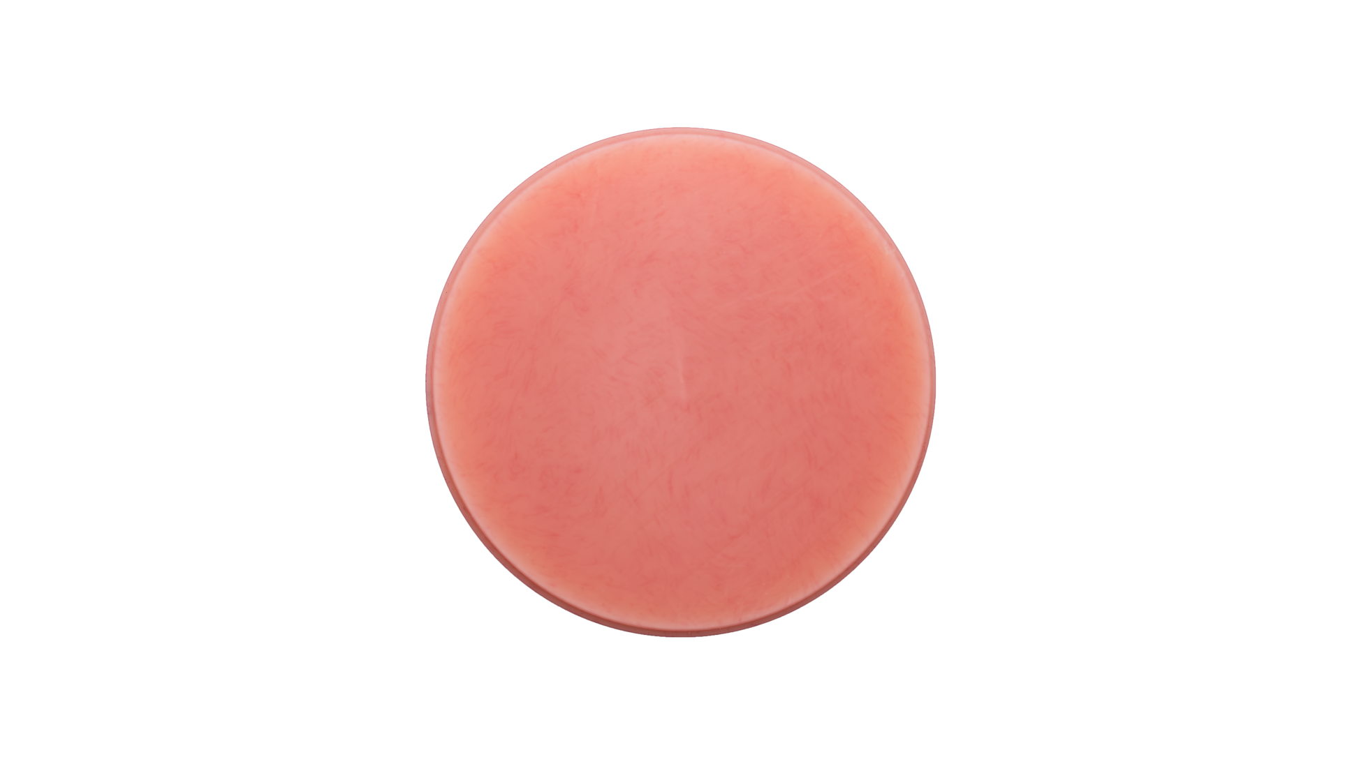 Aidite Denture Base Puck - Shade P1