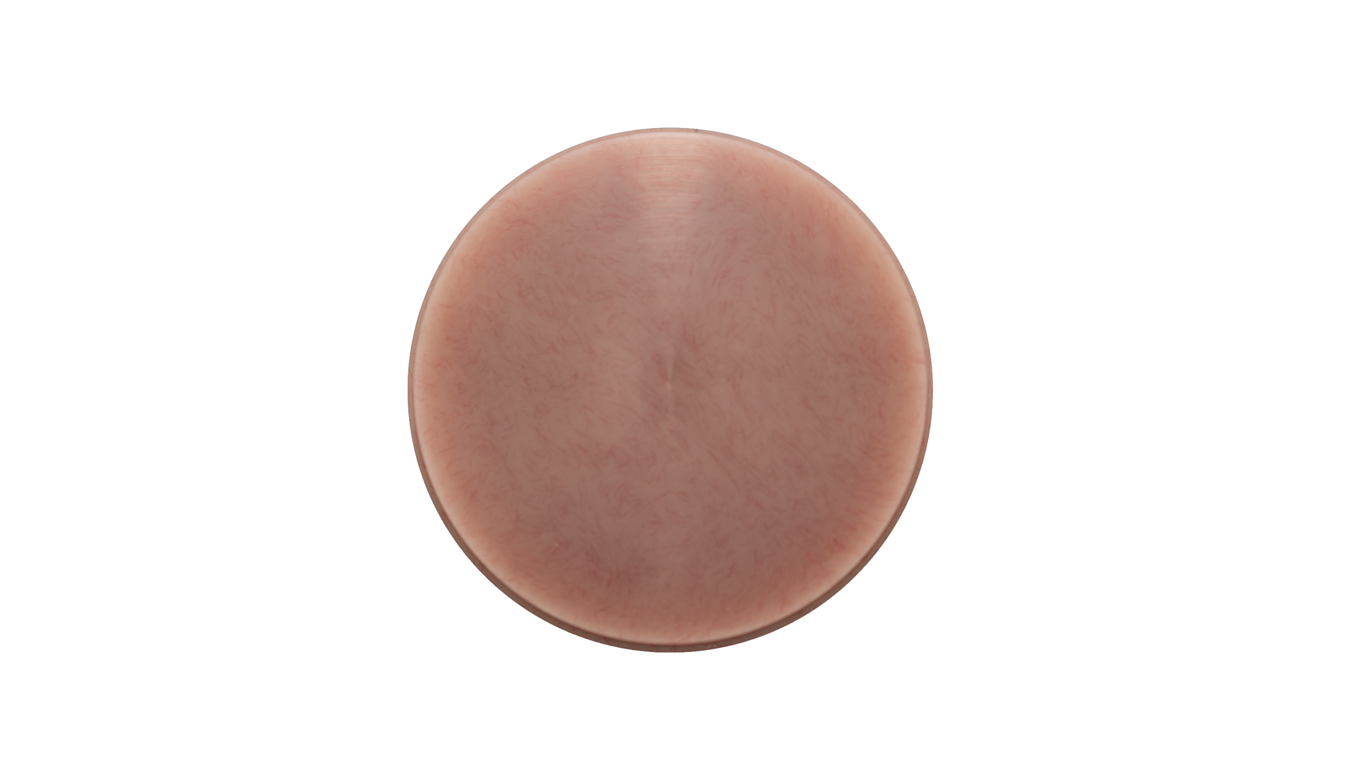 Aidite Denture Base Puck - Shade P2