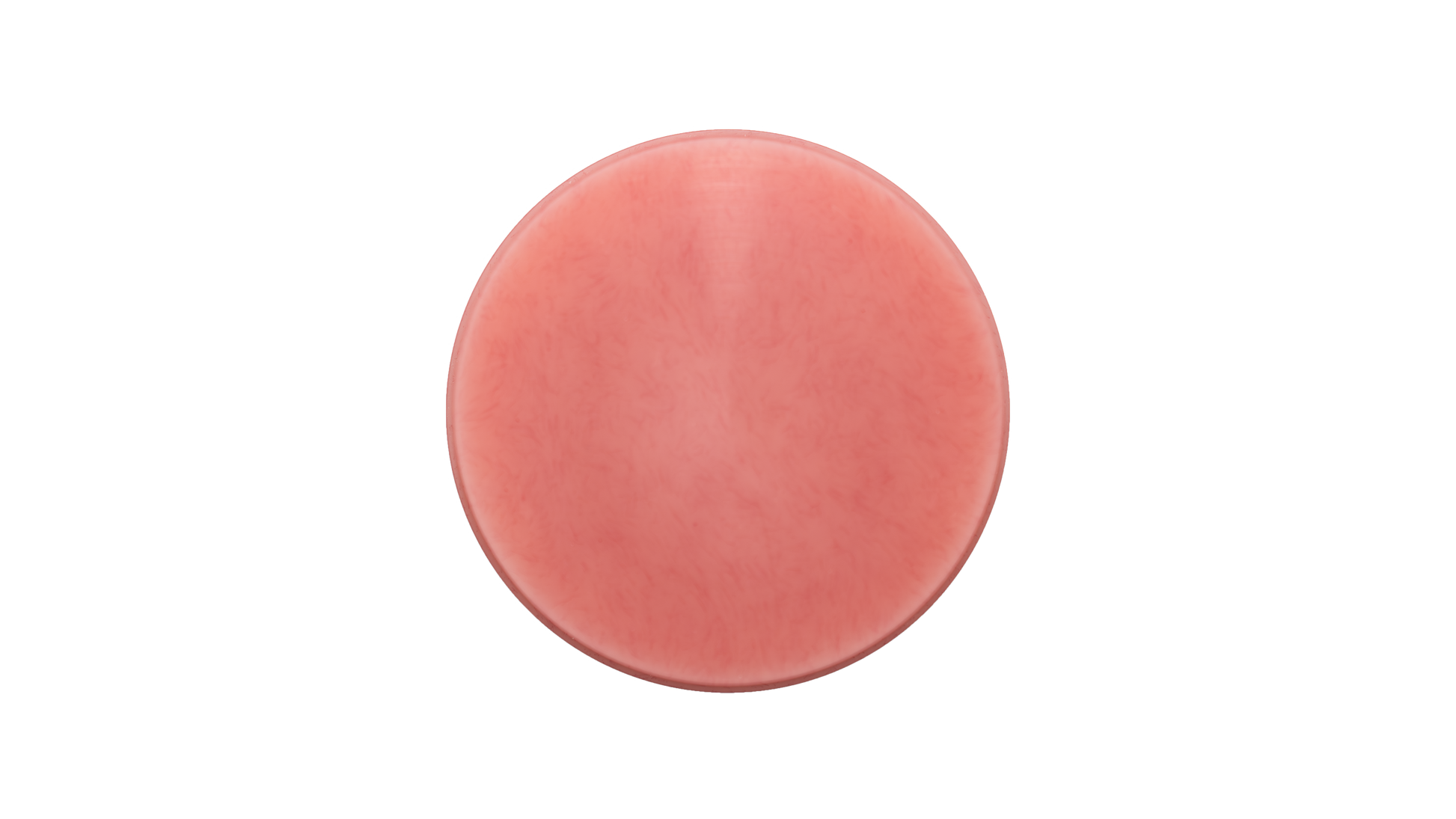 Aidite Denture Base Puck - Shade P5