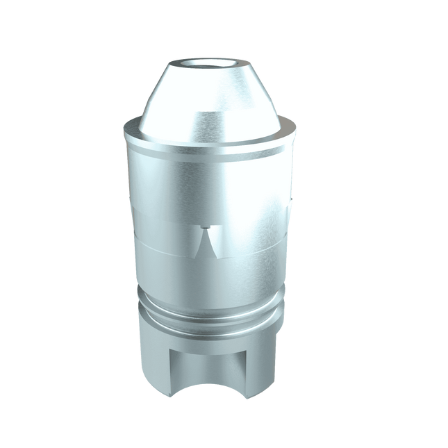 Printed Model Analog for Multi-Unit Abutment WP