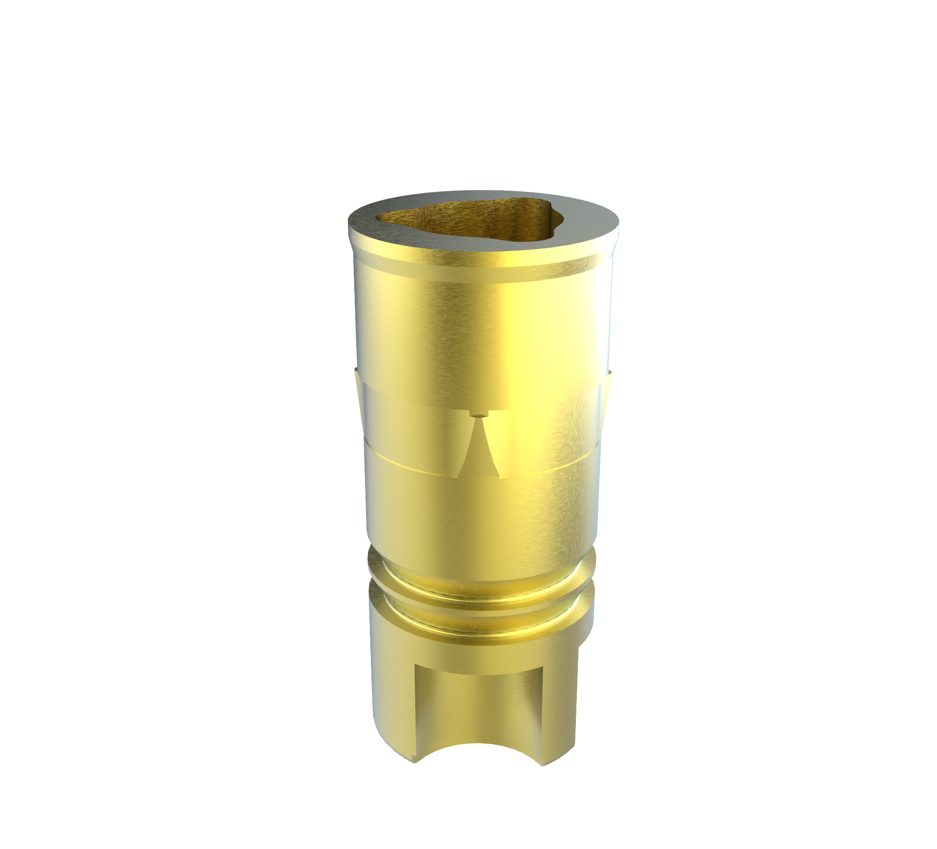 Printed Model Analog for Replace® RP