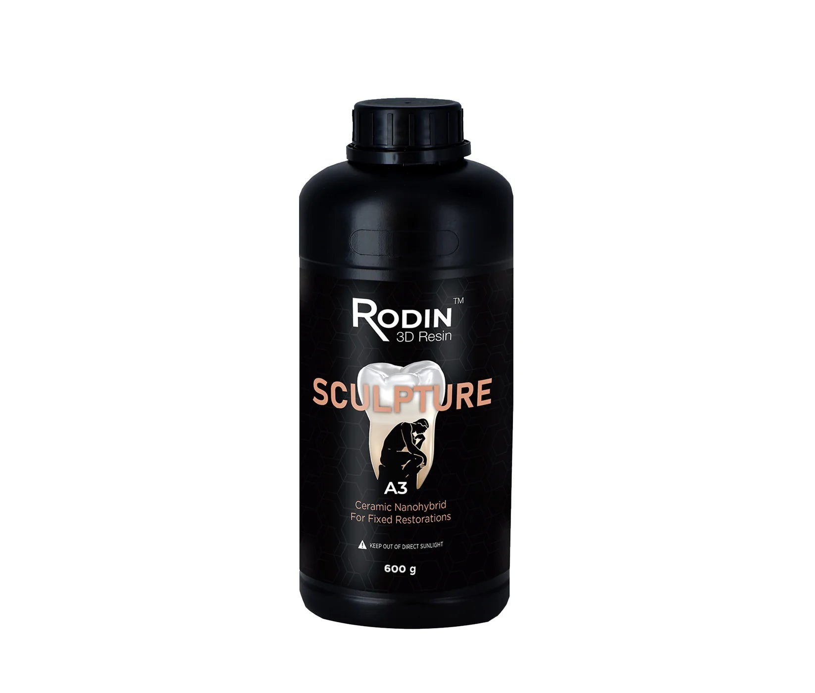 Rodin Sculpture - 600g A3 - SALE