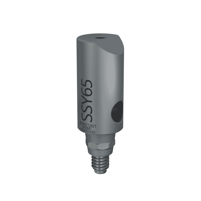 ScanBody22 for Standard 6.5 WN