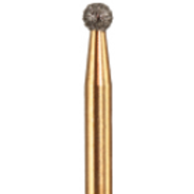 Horico Lion Bur - AUFG001 008