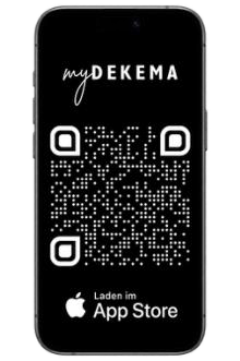DEKEMA AUSTROMAT™ 224 Porcelain Furnace