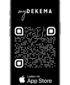 DEKEMA AUSTROMAT™ 224 Porcelain Furnace