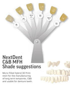 Amann Girrbach NextDent C&B MFH / BL for Crowns & Bridges