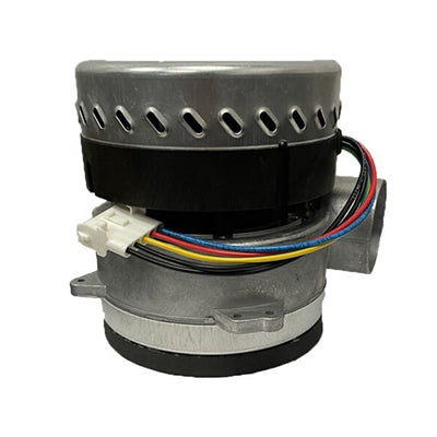 Quatro Brushless Motor