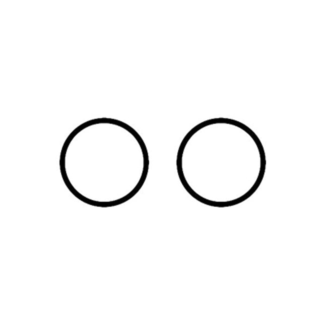 NSK Presto Aqua II O-ring Set for Bottle