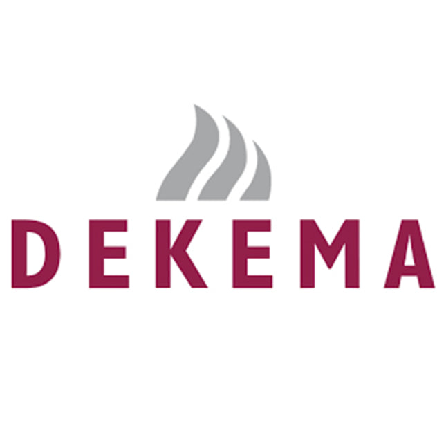 Dekema Electronic board